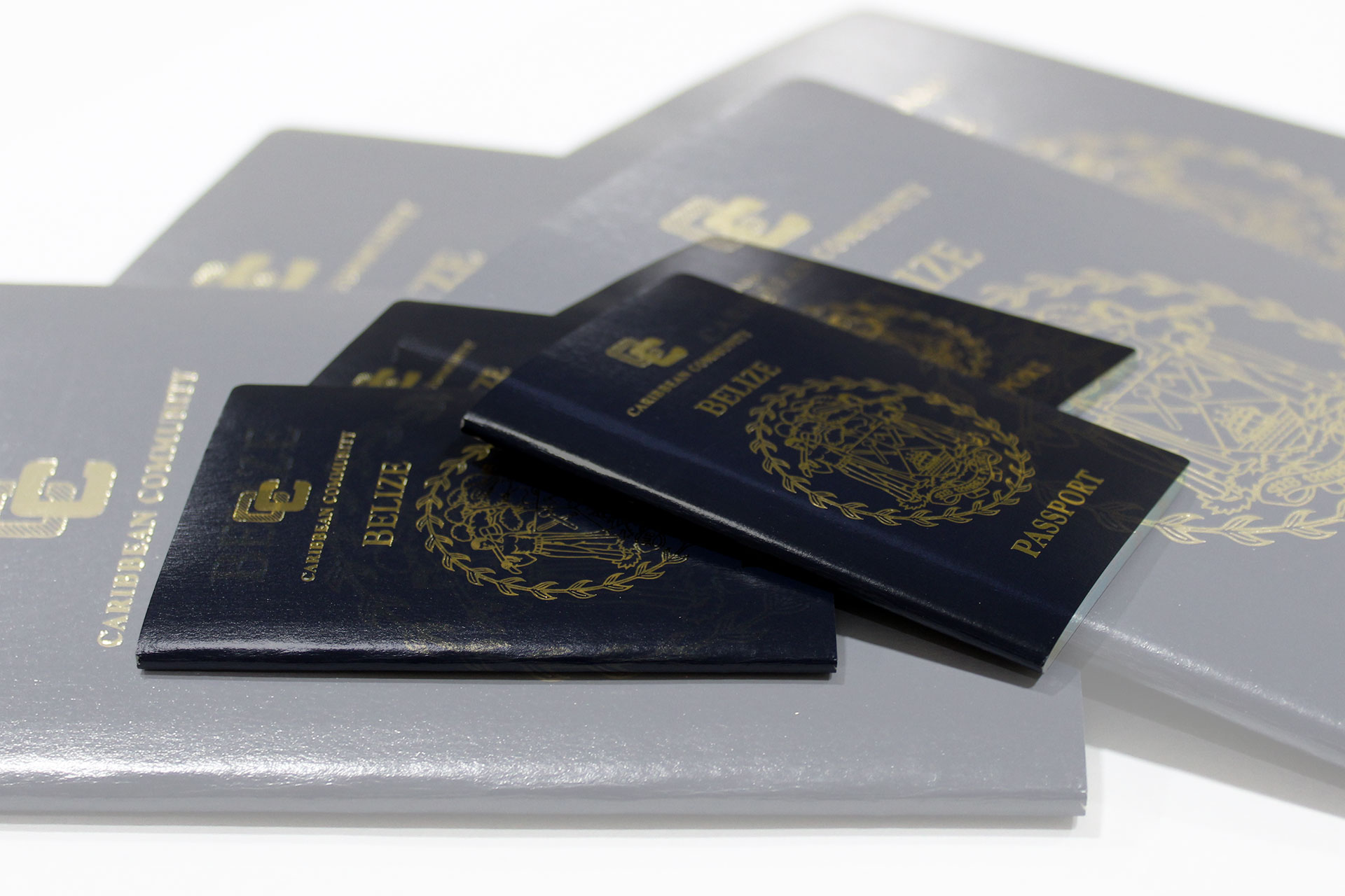 Passport Adult Application Belize 8980